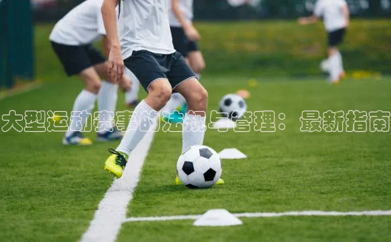 大型运动赛事的法规与管理：最新指南